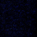 Aqua Turf Marine/Automotive Carpet 96" - Indigo Aqua Turf Marine/Automotive Carpet 96" - Indigo
