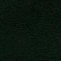 Denali 54" Vinyl Evergreen Denali 54" Vinyl Evergreen