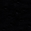 Denali 54" Vinyl Black Ostrich Denali 54" Vinyl Black Ostrich