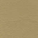 Seascape Marine Grade Welt Cord Sand Seascape Marine Grade Welt Cord Sand