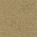 Seascape Marine Grade Welt Cord Autumn Seascape Marine Grade Welt Cord Autumn