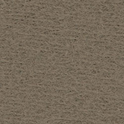 Surcolor 54" Headliner Desert Tan Surcolor 54" Headliner Desert Tan