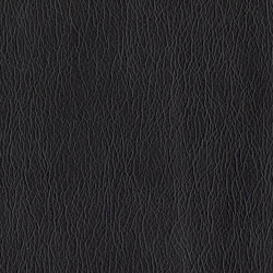 Ultraleather 54" Faux Leather Raven Wing Ultraleather 54" Faux Leather Raven Wing