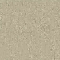 Ultraleather 54" Faux Leather Tan Ultraleather 54" Faux Leather Tan